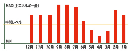 2014N^C΂̖.jpg